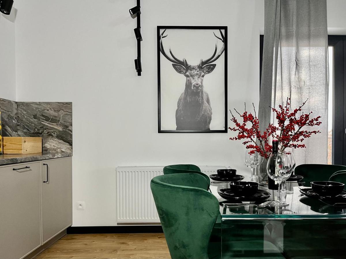 Apartamenty Maxa Czornyja Jelenia Góra Exterior foto
